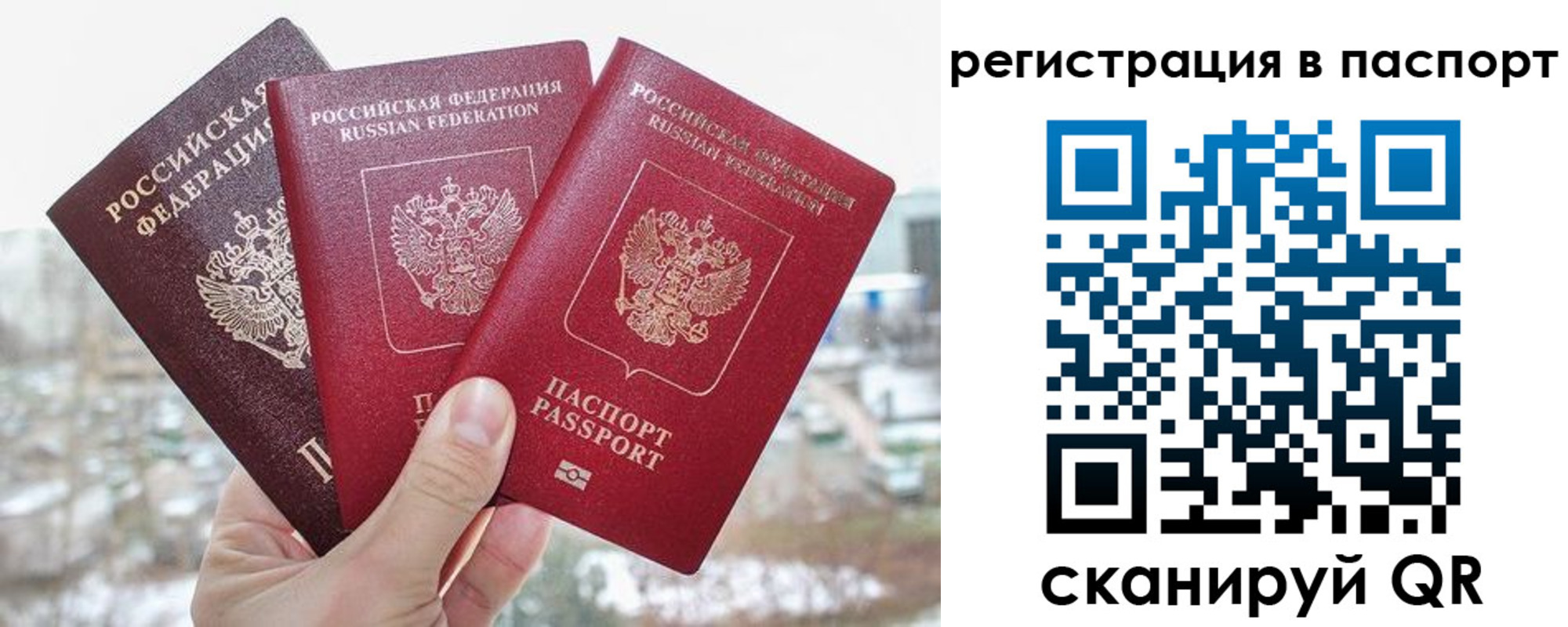 регистрация для школы в Омской области